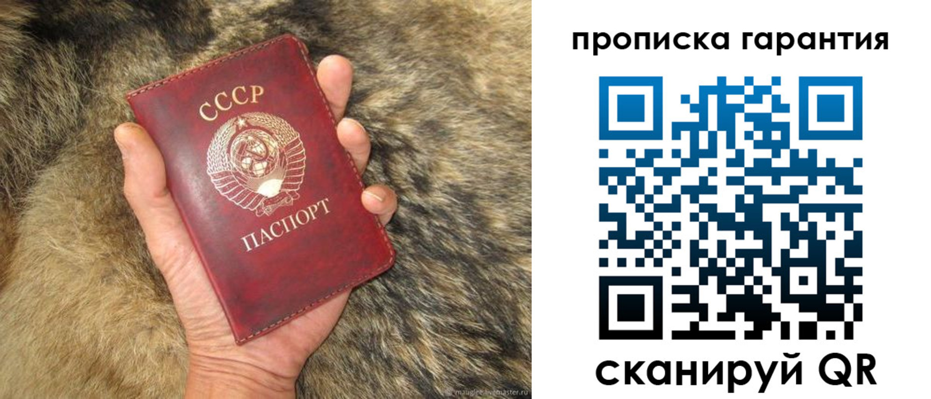 прописка паспорт в Североморске